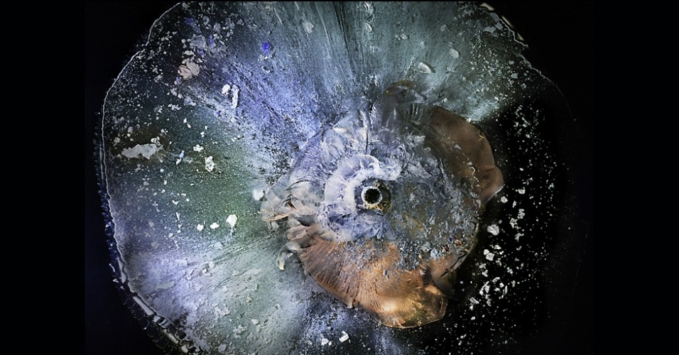 E Bay também conta que nenhum disparo foi feito em seu estúdio. As balas atingiram os painéis em um ambiente seguro e os painéis foram levados depois para serem fotografados em seu estúdio. Acima, o disparo de uma 5.7 - Deborah Bay/Divulgação