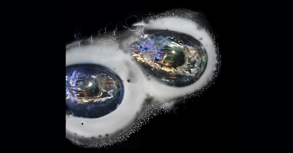 Para Bay, "armas continuam a fascinar as pessoas". A ideia surgiu depois que ela viu em uma loja vários painéis de acrílico que exibiam balas incrustadas. Acima, o disparo de uma uzi 9 milímetros - Deborah Bay/Divulgação