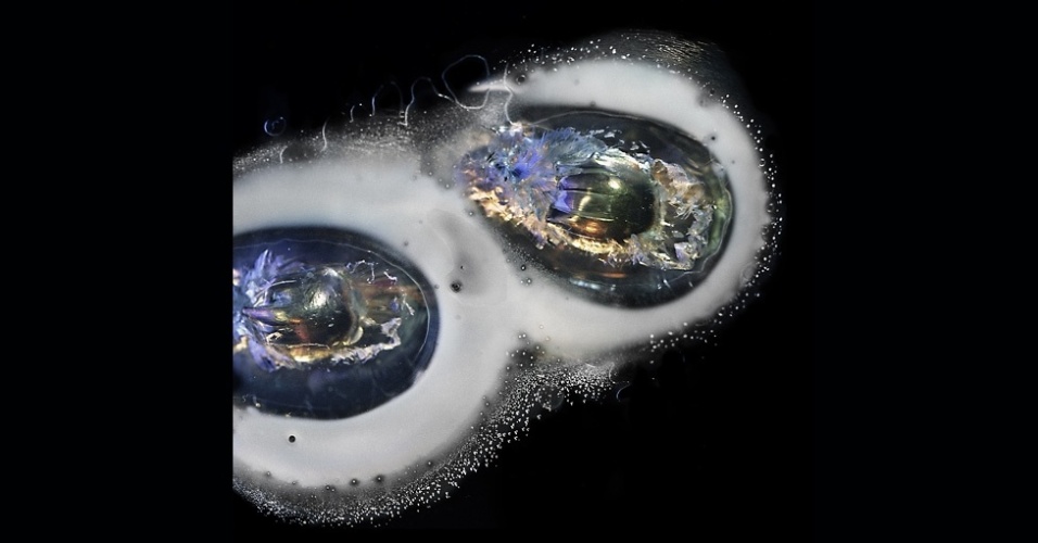 Para Bay, "armas continuam a fascinar as pessoas". A ideia surgiu depois que ela viu em uma loja vários painéis de acrílico que exibiam balas incrustadas. Acima, o disparo de uma uzi 9 milímetros - Deborah Bay/Divulgação