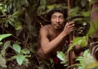 ONG internacional pede ao ministro da Justiça que detenha massacre de índios Awá, na Amazônia - Domenico Pugliese/Survival/Divulgação