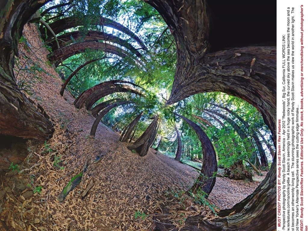 "Fazer as fotografias é, na verdade, a parte do processo que menos toma tempo. A parte mais demorada é encontrar os lugares que vale a pena fotografar e chegar ao melhor local para fotografá-los" - Randy Scott Slavin / Rex Features