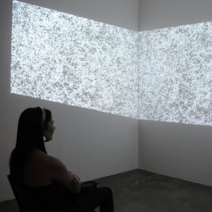 Projeto do neozelandês Ben Jack, ?Elucidating Feedback? é um equipamento que lê ondas cerebrais. As imagens projetadas na tela mudam de acordo com a concentração do visitante na instalação - Divulgação