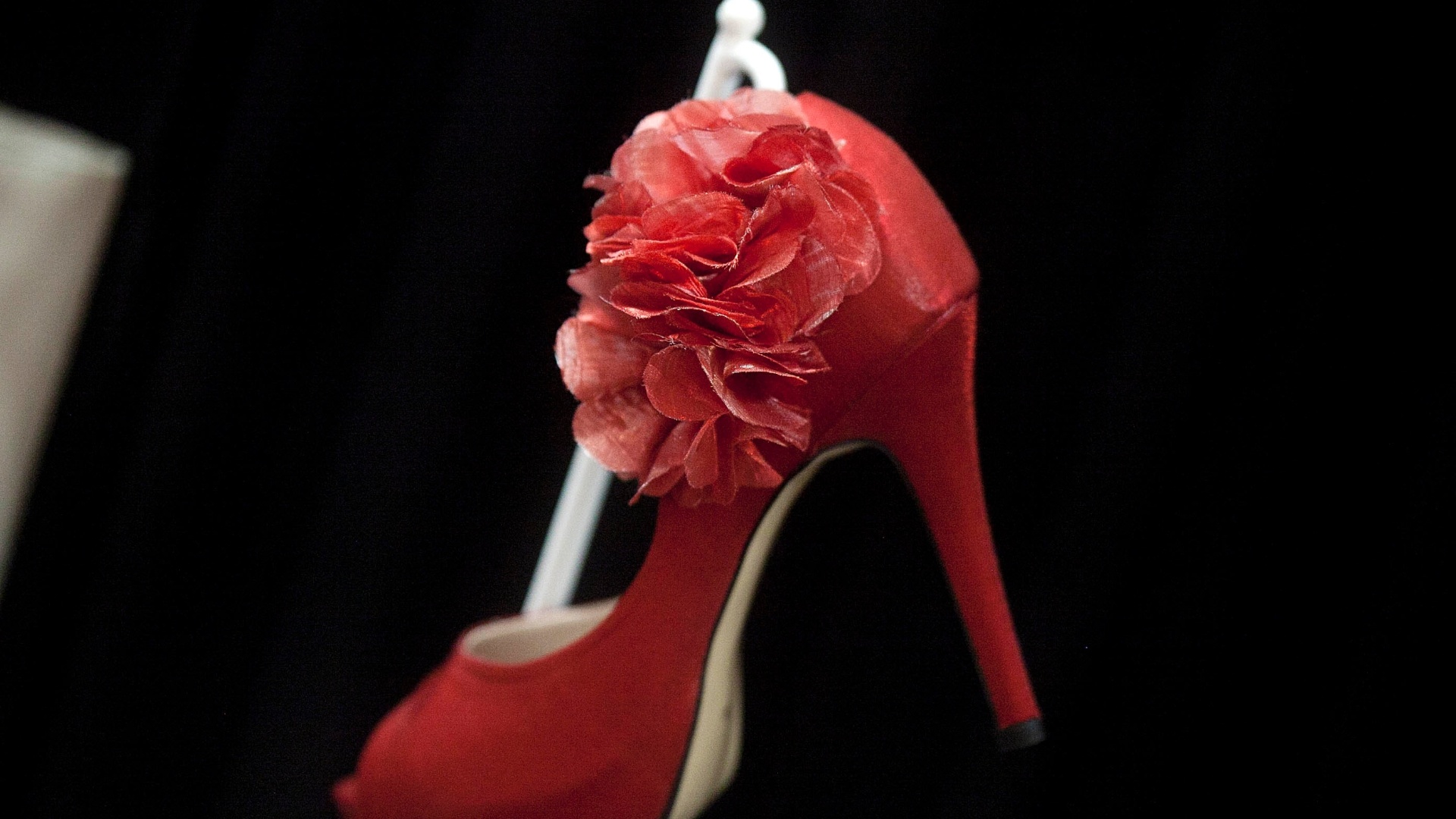 Cobertura Expo Noivas & Festas - Leonardo Soares de Souza/UOL