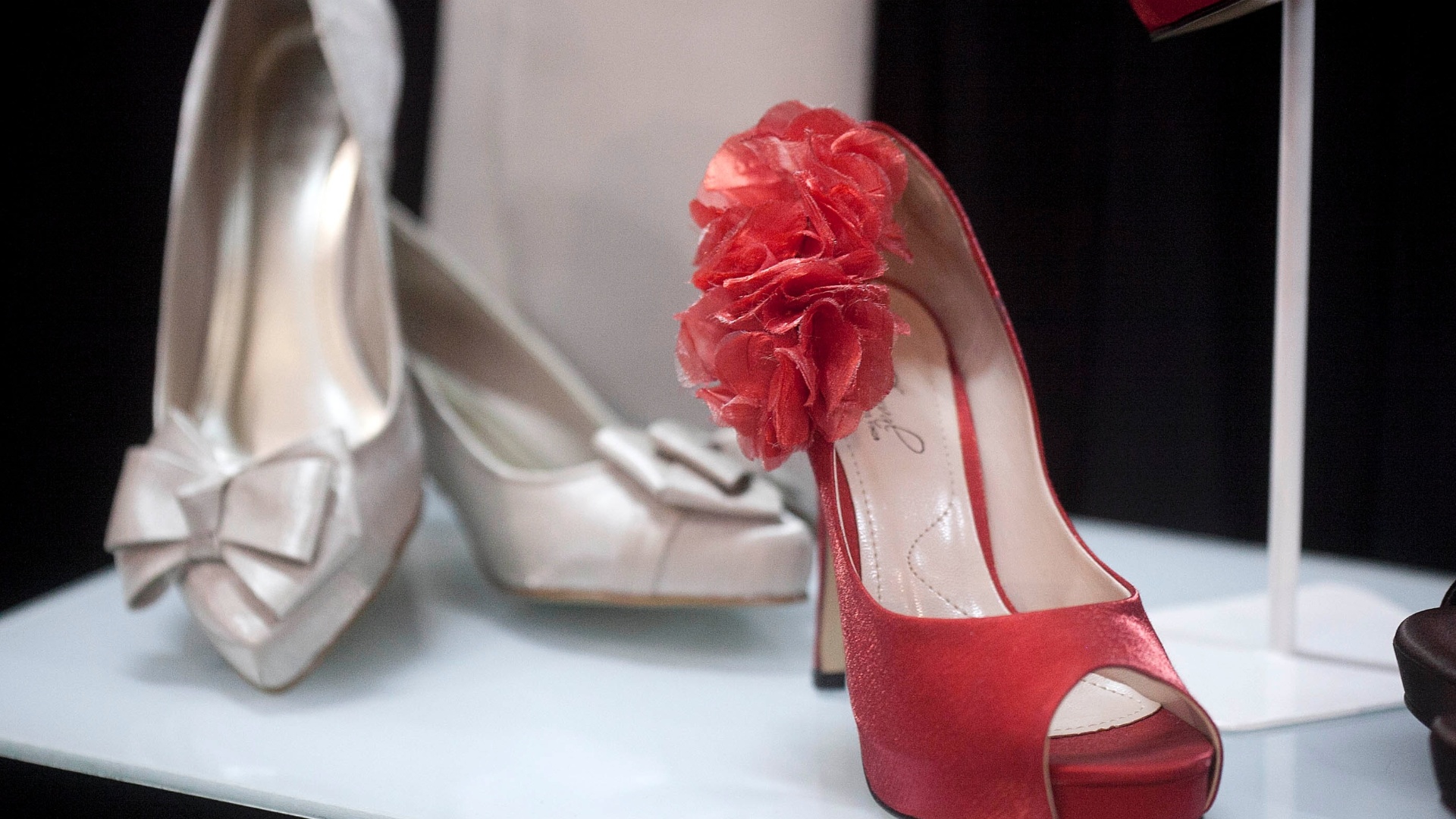 Cobertura Expo Noivas & Festas - Leonardo Soares de Souza/UOL