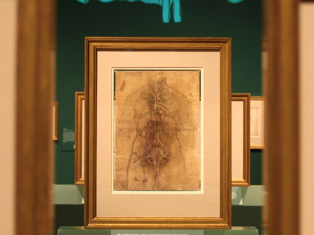 O desenho de Leonardo da Vinci chamado "Os principais órgãos e vasos de uma mulher" (30/4/12) - AP Photo/Alastair Grant