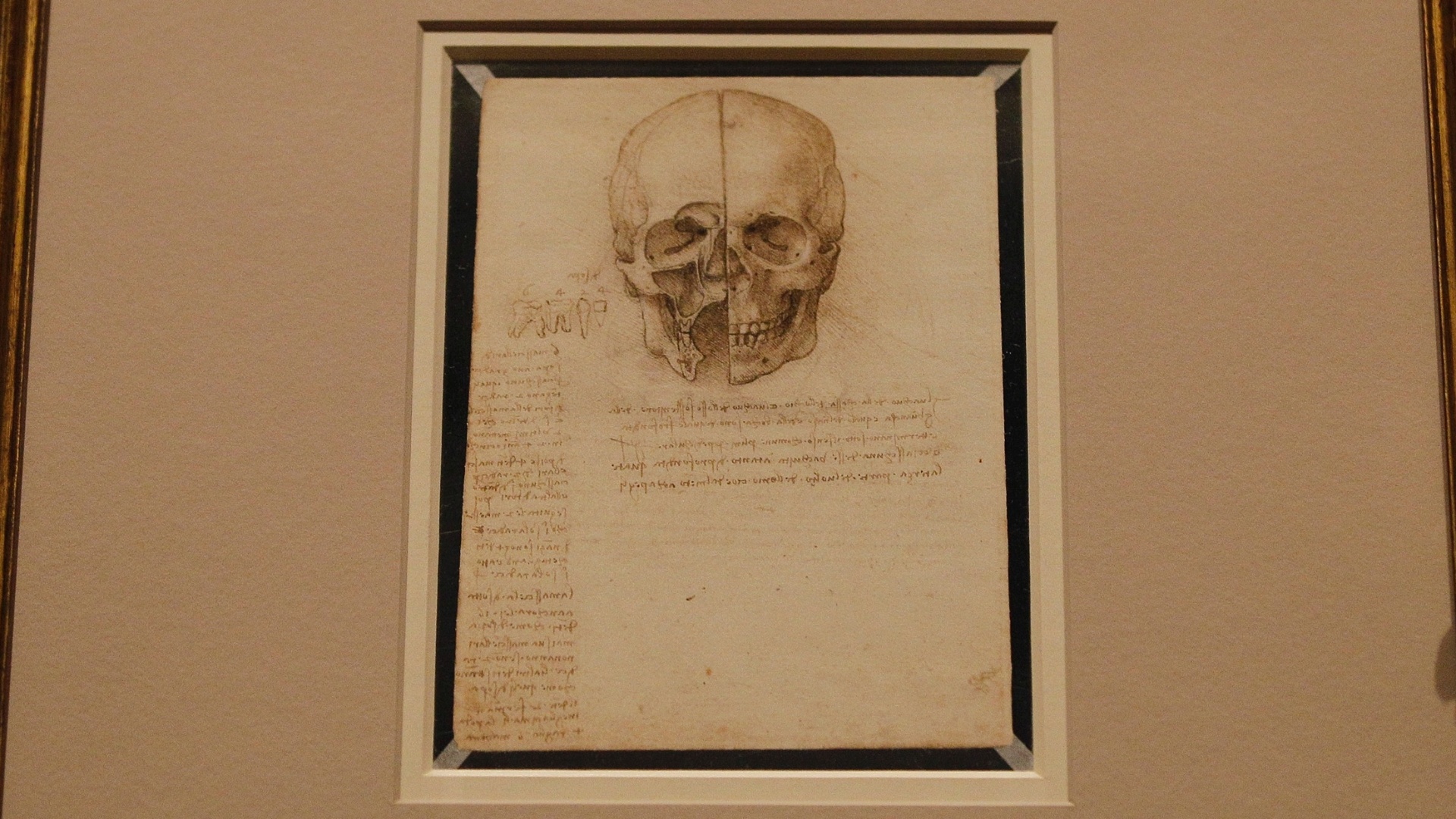 O desenho "Um crânio seccionado, 1489" da exposição "Leonardo da Vinci: Anatomista" na Queen's Gallery de Londres (30/4/12) - REUTERS/Luke MacGregor