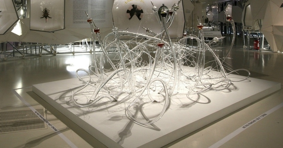 A exposição também mostra obras de arte contemporâneas que têm relação com o tema da exposição, como este ''jardim do vício'', Os tubos de vidro representam as conexões do cérebro e os tubos de ensaio fazem alusão aos psicotrópicos, que permitem ao xamã ter uma visão mais ampla - Musée du Quai Branly