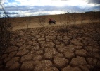 Seca se agrava, e sertanejos já sofrem com falta de alimentos no Nordeste - Ricardo Moraes/Reuters 