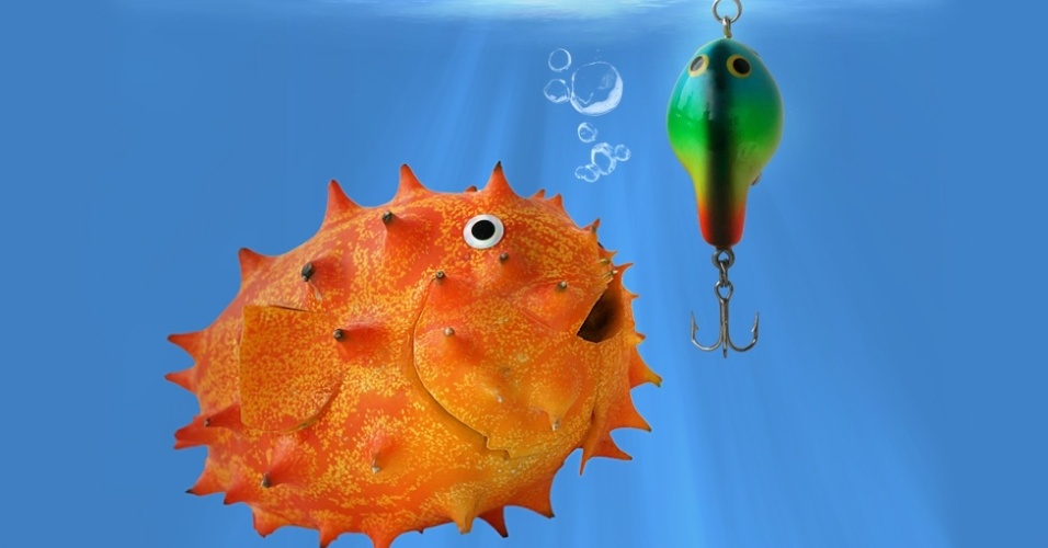 Em suas pesquisas em supermercados, Vanessa tenta de "resgatar alguma fruta ou vegetal que, na verdade, 'nasceu' para ser alguma outra coisa". Acima: Baiakino, com a fruta kino - Vanessa Dualib 