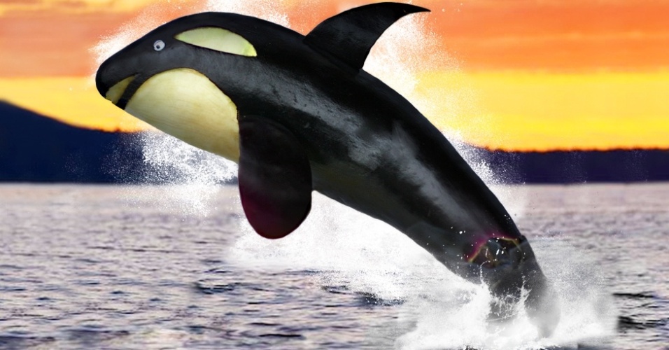 Para a fotógrafa, as imagens "desafiam a percepção das coisas". Acima, a foto "Berinjorca", com uma berinjela japonesa - Vanessa Dualib 