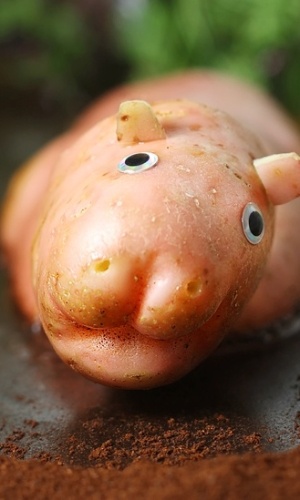 Para alguns personagens, a fotógrafa cria mistura mais elaboradas. Acima, o Hippotatomus, criado com batata rosada, uma mistura de café e água para a lama e várias verduras para a vegetação - Vanessa Dualib 