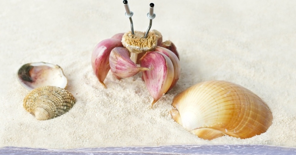 Vanessa afirma que não desperdiça alimentos, e que "cerca de 70% de tudo que é fotografado acaba sendo consumido" por ela. Acima, o Sirilho, com alho e farinha de mandioquinha para a areia - Vanessa Dualib 