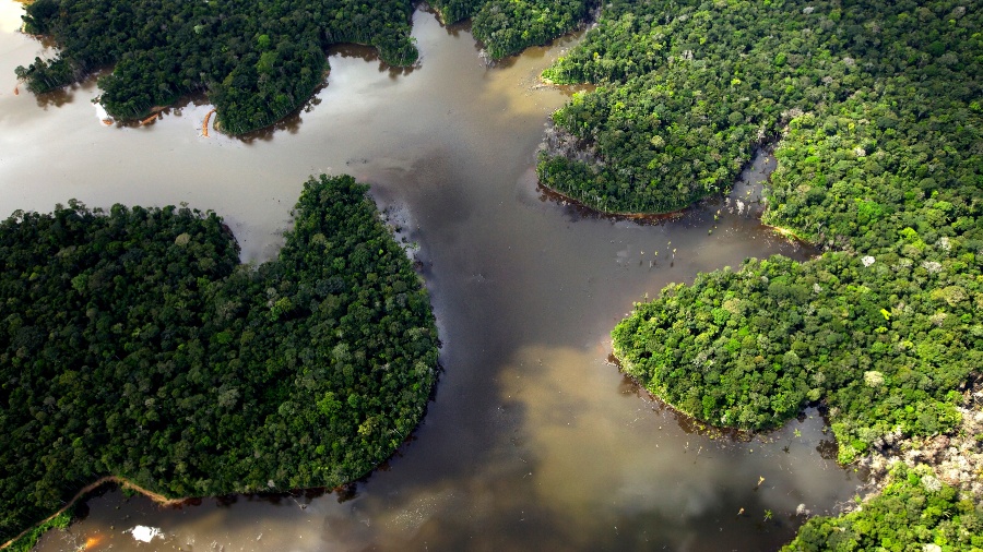 A bacia amazônica em imagem doe stado de Rondônia - Noah Friedman-Rudovsky/The New York Times