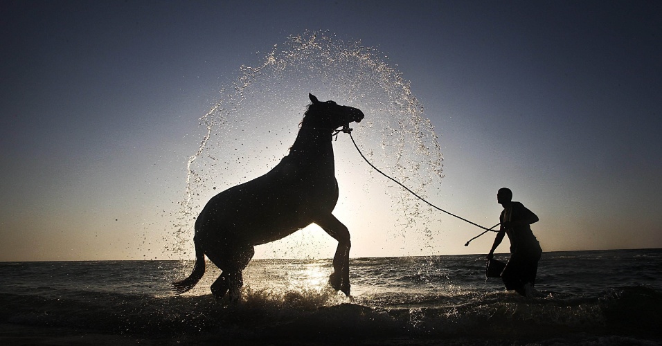 7.mai.2012 - Um homem lava seu cavalo no mar, na Faixa de Gaza, na Cisjordânia