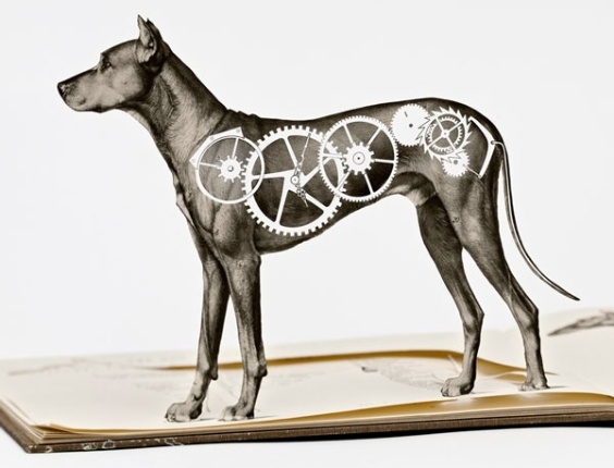 O fotógrafo americano Thomas Allen faz personagens saltarem de romances antigos e livros de todo tipo, criando cenas em três dimensões  - Thomas Allen