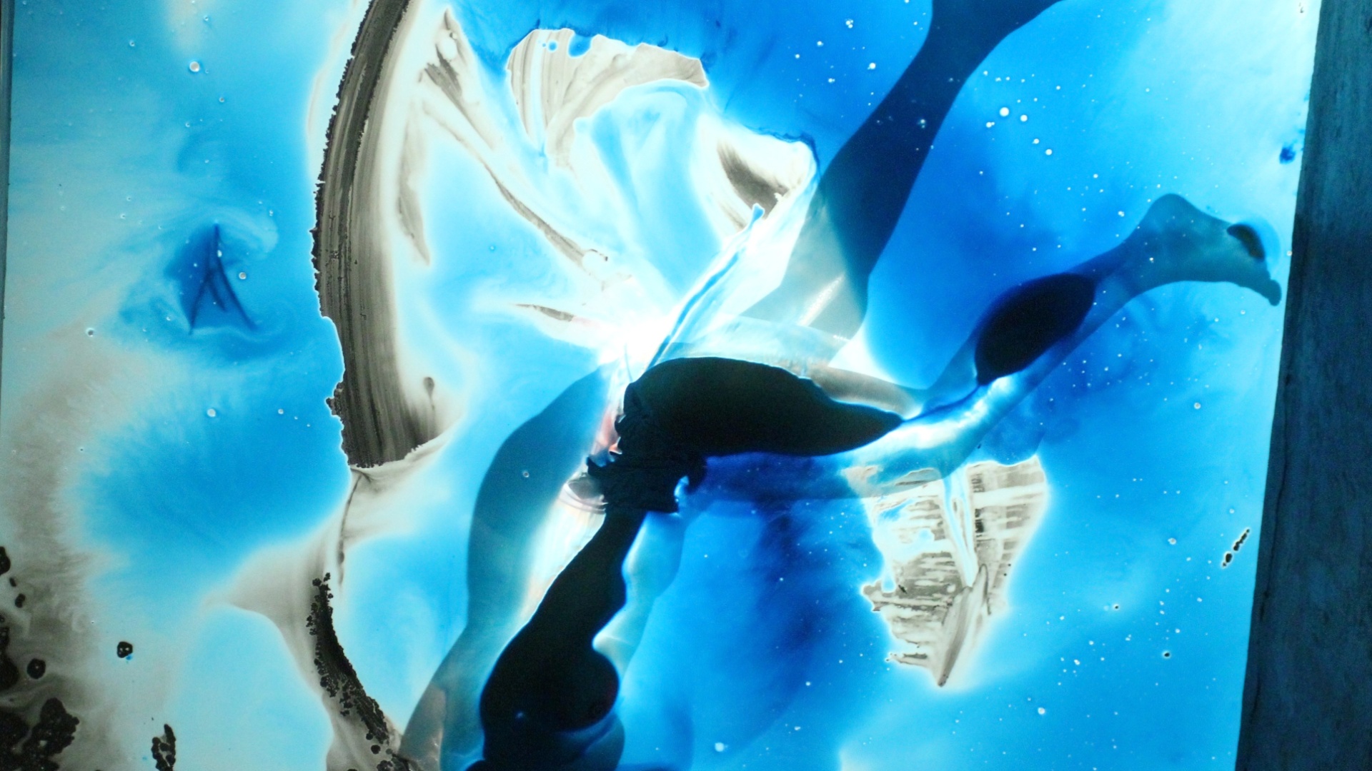 A brasileira Morena Nascimento apresenta em São Paulo a performance "Claraboia" - Divulgação