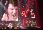 Com músicos da banda original do cantor, "Elvis in Concert" inicia turnê brasileira em Brasília - Divulgação