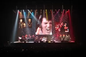 Imagem do show "Elvis Presley in Concert" que chega em outubro ao Brasil - Divulgação