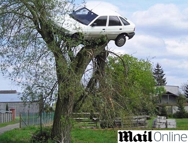 Vizinhos penduram carro de motorista imprudente em árvore na Polônia - Reprodução/Dailymail