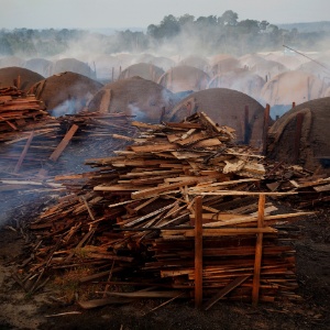 Greenpeace denunciou extração ilegal de madeira para uso em carvoarias. Crime organizado lucra até US$ 100 bi por ano com atividade - Marizilda Cruppe e Rodrigo Baleia/Greenpeace