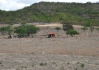 Seca ultrapassa limites da zona rural e afeta cidades do Nordeste; moradores convivem com racionamento - Beto Macário/UOL