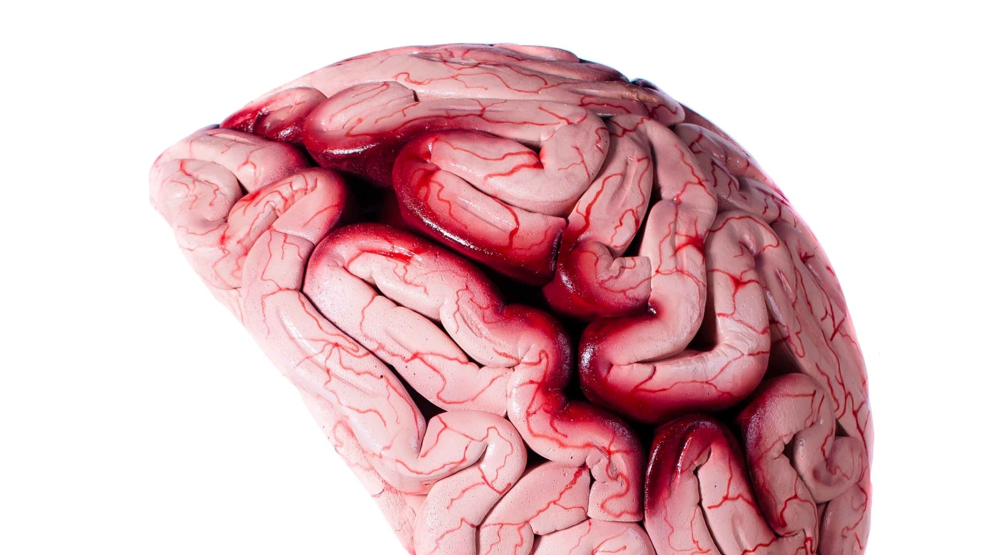 Arte "O Que Você Tem Na Cabeça", de Carla Pires de Carvalho Fernandes. A partir deste dia 20 maio, os antigos "orelhões" paulistanos serão reformados e passam a fazer parte de um circuito artístico que passa por Consolação, Paraisópolis, Pinheiros e Vila Madalena - Divulgação