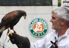 Roland Garros aposta em falcões para acabar com invasão das pombas - AFP PHOTO / JACQUES DEMARTHON