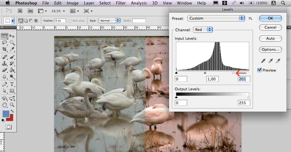 Ferramenta levels ajusta luminosidade da foto; veja como usála no