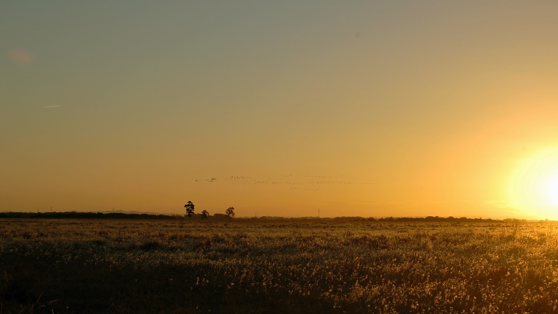 1º.jun.2012 - Zona rural de Pelotas (RS), a caminho da Lagoa dos Patos. Foto enviada por Leonardo Tajes Ferreira. Paisagens rurais é o tema da primeira galeria de fotos da BBC Brasil feita com imagens mandadas pelos leitores, que contribuíram com centenas de fotografias tiradas em diversas partes do mundo -- do interior do Brasil à Islândia e à Austrália - Leonardo Tajes Ferreira/BBC