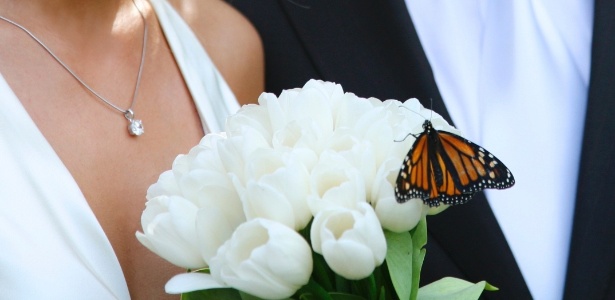 As borboletas vivas costumam ser soltas ao final das cerimônias de casamentos - Thinkstock