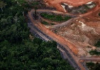 Ambientalistas arriscam a vida pela salvação do meio ambiente no Brasil - Reuters/Marizilda Cruppe/Greenpeac