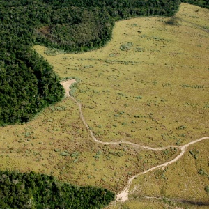 Vista aérea de área de preservação permanente com enorme parte desmatada em Nova Ubiratã, região médio-norte de Mato Grosso, em 2005 - Fernando Donasci/Folhapress