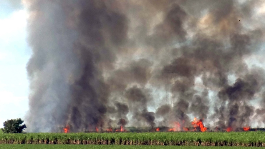 12.jun.2012 - Canavial é queimado para eliminar a palha da cana-de-açúcar em Ribeirão Preto (SP) - Fernando Calzzani/ Futura Press