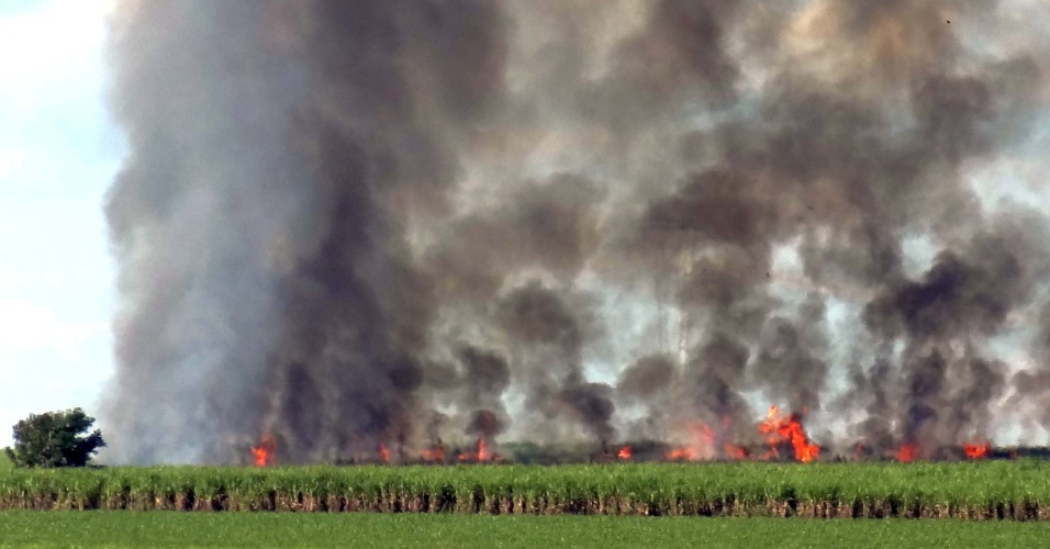 12.jun.2012 - Canavial é queimado para eliminar a palha da cana-de-açúcar em Ribeirão Preto, a 313 km de São Paulo. A fumaça chegou a encobrir o céu da cidade durante o dia