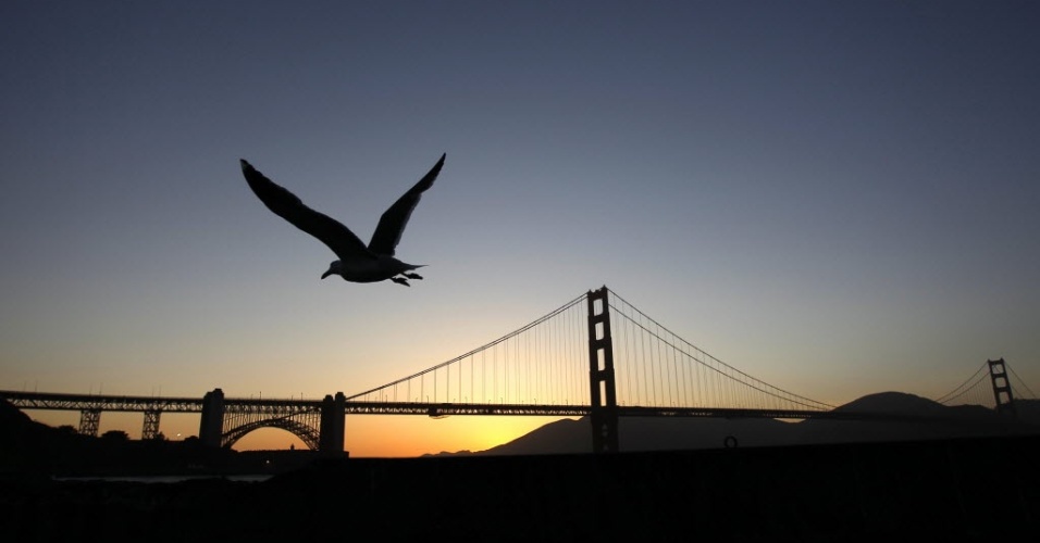 12.jun.2012 - Gaivota levanta voo em São Francisco, nos Estados Unidos, no final da tarde desta terça-feira (12)