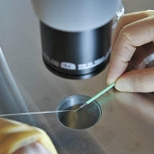 Técnica que utiliza DNA de três pessoas para criar embrião está sob discussão na Grã-Bretanha - PA via BBC