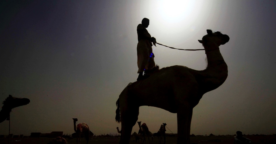 14.jun.2012 - Homem fica de pé em camelo durante os preparativos para uma corrida que utilizará jóqueis robôs em Kassala, no leste do Sudão, em imagem desta quarta-feira (13). Os sudaneses começarão a utilizar robôs como jóqueis em 2009, depois que a participação de meninos no esporte foi associada ao trabalho infantil