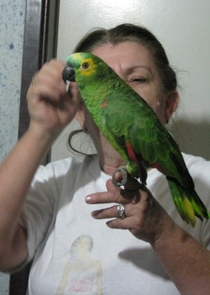 Romilda segura o papagaio Lourinho em Goiânia - Arquivo pessoal