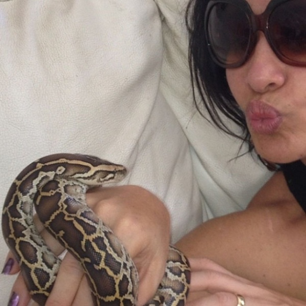 Scheila Carvalho postou no Twitter uma foto em que segura uma cobra nas mãos. "Beijinho de longe!!! Ai que medo!", brincou