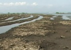 Baía de Guanabara continua poluída 20 anos após promessas da Rio 92 - BBC