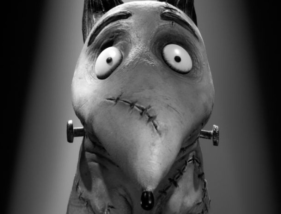 O cão Sparky na animação de Tim Burton "Frankenweenie" (2012) - Divulgação