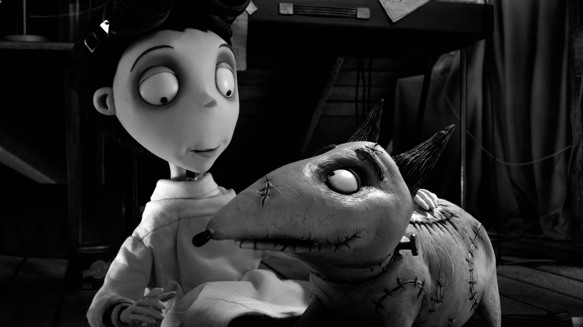 Victor e seu cão Sparky em cena do filme "Frankenweenie", de Tim Burton (2012) - Divulgação