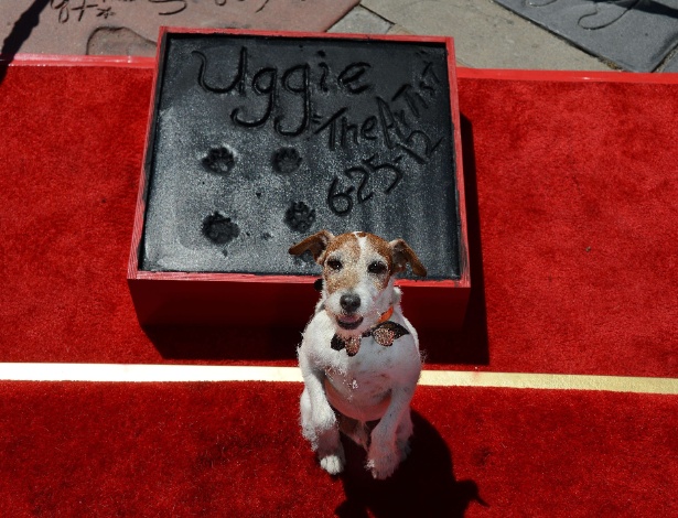 Após estrelar em "O Artista", Uggie teve suas patas imortalizadas em Hollywood (25/6/12) - Robyn Beck/Reuters