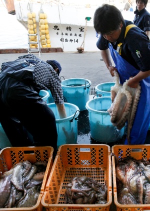 Polvos são descarregados no porto que serve Soma, no Japão. A pesca na região foi retomada perto da usina nuclear de Fukushima, mas a reação dos consumidores é uma grande questão para a indústria - Kosuke Okahara / The New York Times