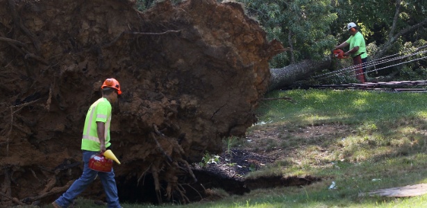 Trabalhadores tentam retirar árvore que caiu em linhas de energia elétrica em Huntington, Maryland (EUA) - Mark Wilson/Getty Images/AFP