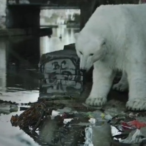 Imagem do vídeo da campanha "Salve o Ártico", promovida pelo Greenpeace  - Reprodução