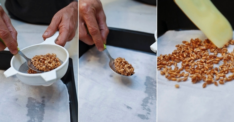 Em seguida, pegue os grãos de trigo - deixados de molho e lavados - e os despeje sobre o tecido.  Com auxílio de uma espátula, espalhe-os de modo uniforme por toda a bandeja ou sementeira. Lembre-se de deixar um pequeno espaçamento entre os grãos para que tenham uma área para crescerem - Leandro Moraes/UOL