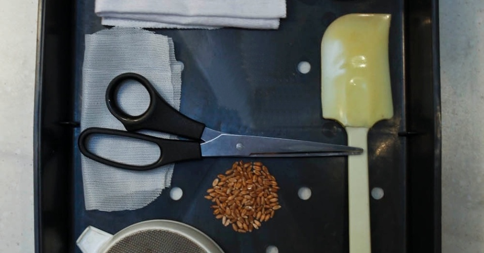 Materiais: sementeira ou bandeja de plástico com furos / tecido sem felpo no tamanho do fundo da sementeira ou bandeja / elásticos / recipiente de vidro ou plástico / tela ou tecido filó / tesoura / espátula / trigo em grãos / coador ou peneira / colher - Leandro Moraes/UOL