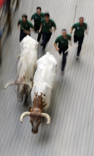 10.jul.2012 - Grupo de pastores orientam touros durante corrida tradicional da Festa de São Firmino, realizada na cidade espanhola do norte de Pamplona. O festival é um símbolo da cultura espanhola, que atrai milhares de turistas, apesar da condenação pesada de grupos de direitos dos animais