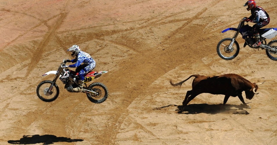 12.jul.2012 - Motociclistas saltam sobre uma vaca na arena de Pamplona, na Espanha, no sexto dia do Festival de São Firmino